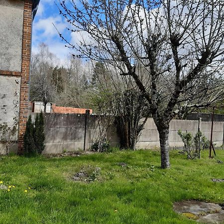 Neuvy-sur-Barangeon Les Volets Rougesヴィラ エクステリア 写真